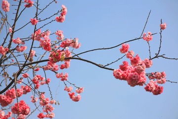 IMG_8649_