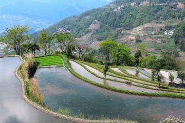IMG_3671_