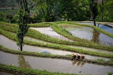 IMG_3669_