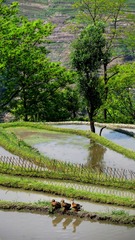 IMG_3675_