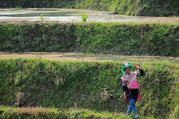 IMG_3762_