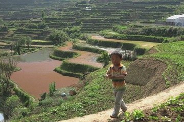 IMG_3771_