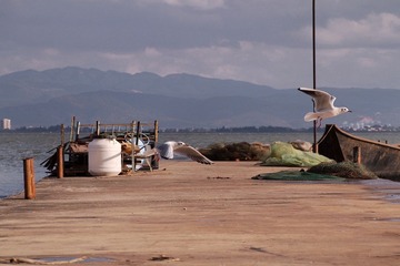 PC201196_
