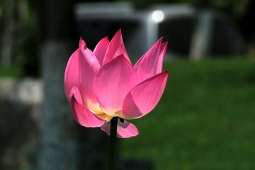 IMG_3915_