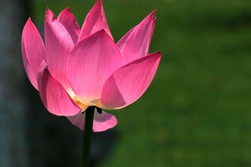 IMG_3902_