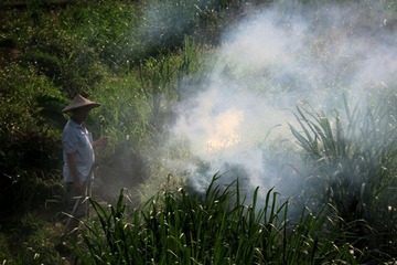 IMG_3961_