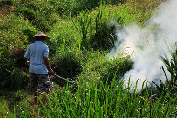 IMG_3962_