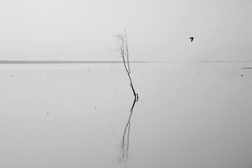 _DSC7685_