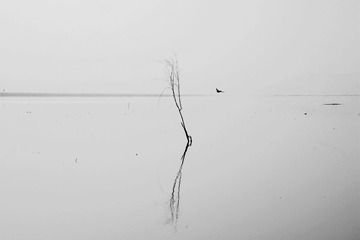 _DSC7678_