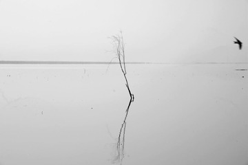 _DSC7687_