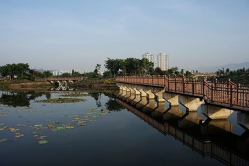 _DSC7732_