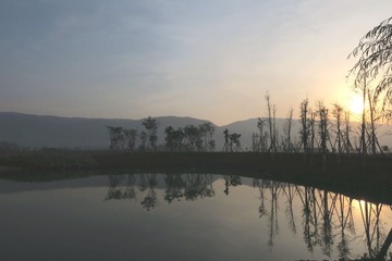 IMG_4031_