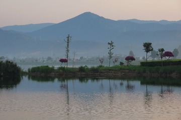 IMG_4026_