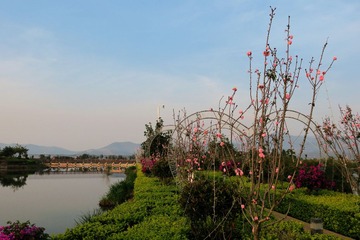 IMG_4034_