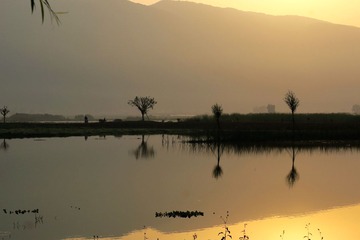 IMG_4038_