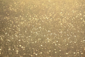 _DSC7608_
