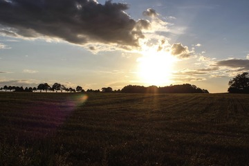 IMG_4105_