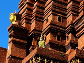 IMG_0596_