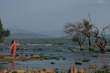 IMG_4458_