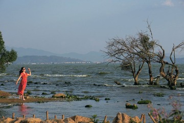 IMG_4458_