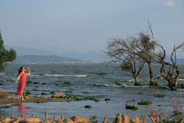 IMG_4458_
