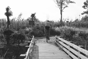IMG_4402_