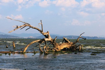 IMG_4344_