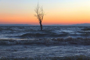 DSCF5118_