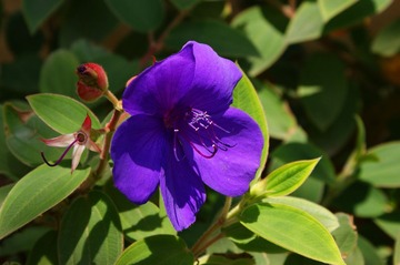 DSC05790_