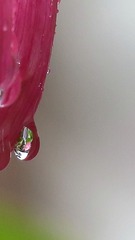 IMG_5168_