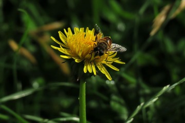 IMG_5391_