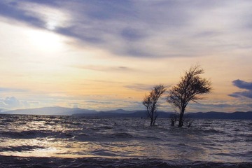 景