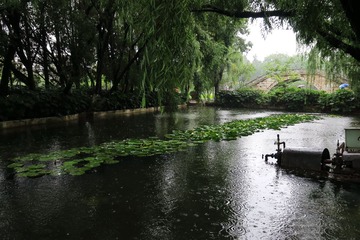 IMG_5105_