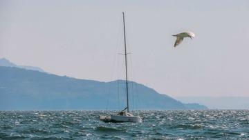 IMG_6598_