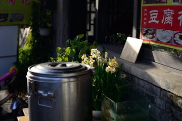 水仙花