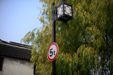 5T