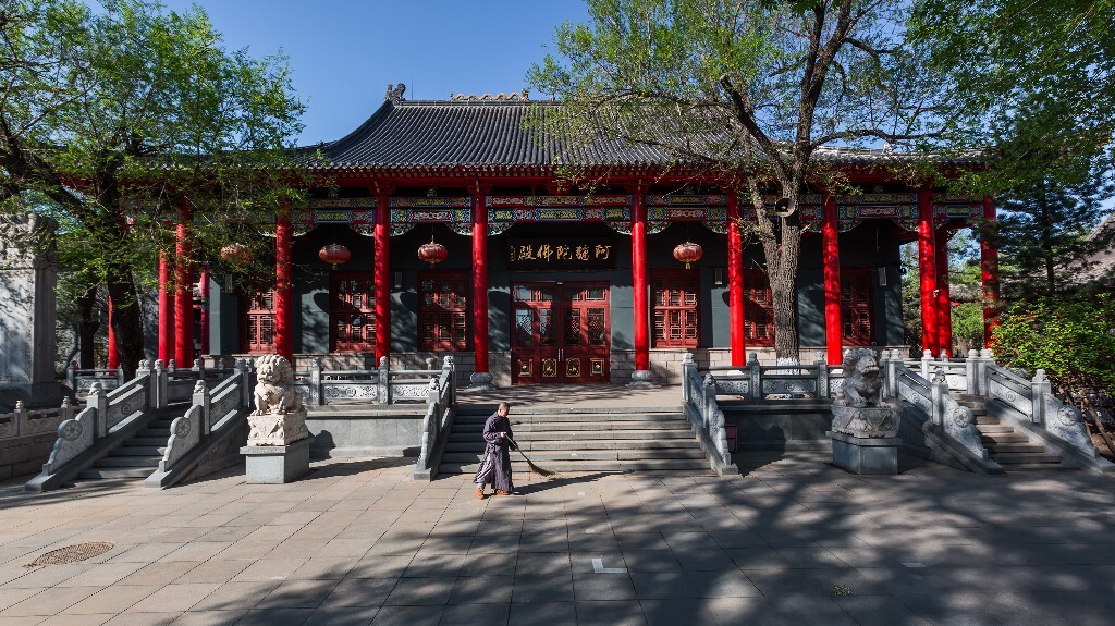 清晨，一名僧人在哈尔滨极乐寺的阿弥陀佛殿门前清扫。。。
