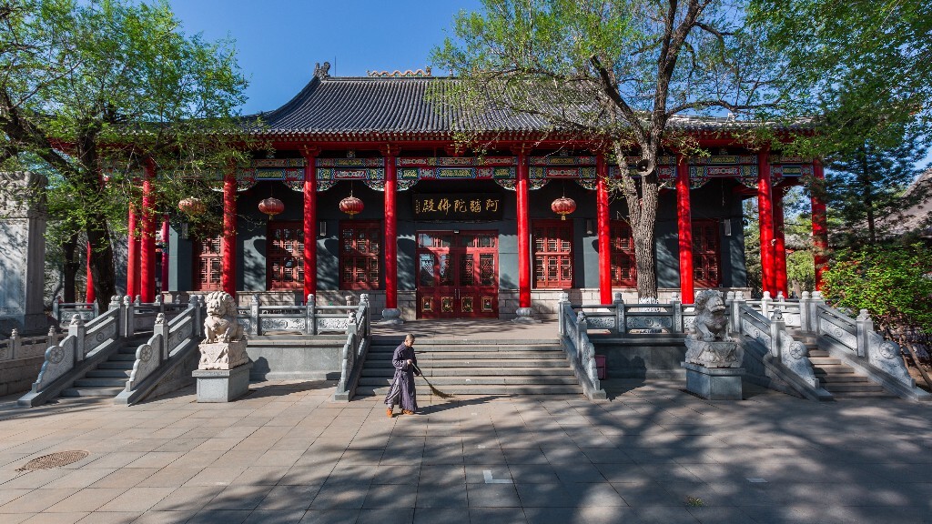 极乐寺的清晨，一名僧侣在阿弥陀佛大殿前细心仔细的清扫。。。。。。