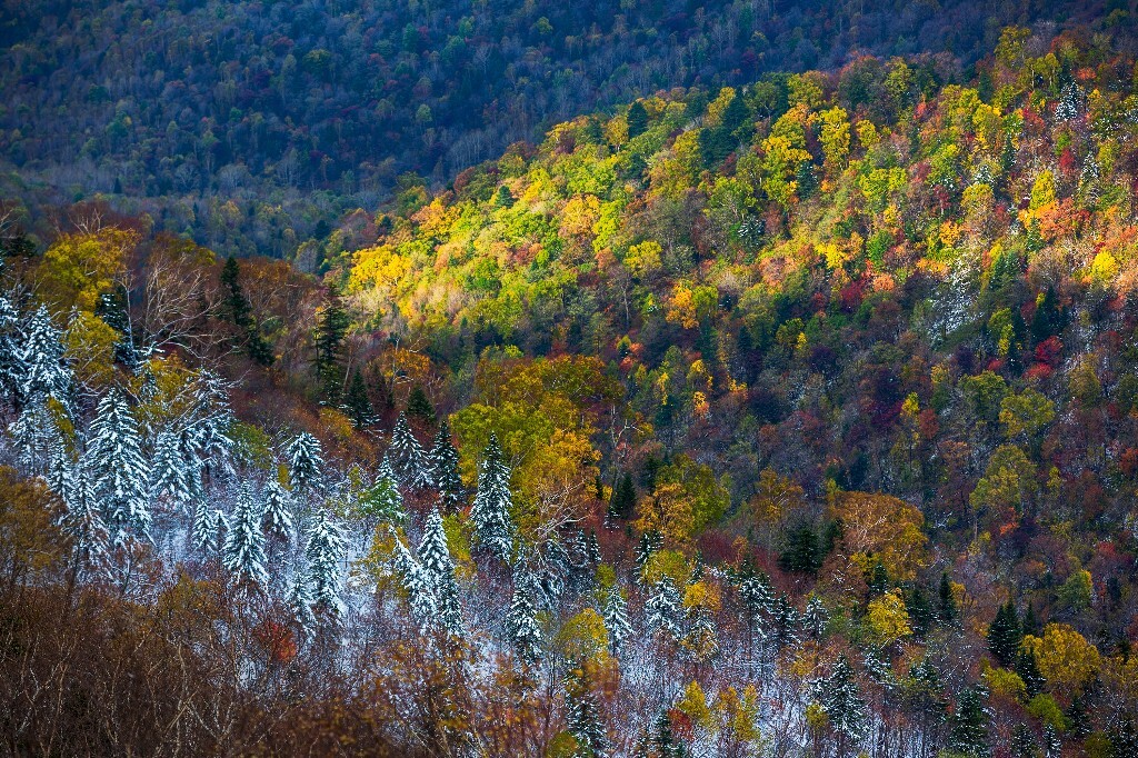 去年十一期间拍摄的，山下秋意正浓，山里已经开始下雪了。。。。。。