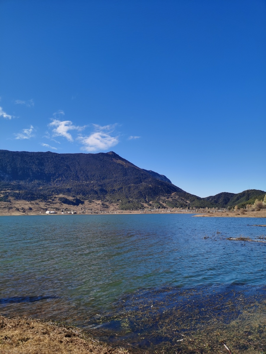 丽江文海美不可言