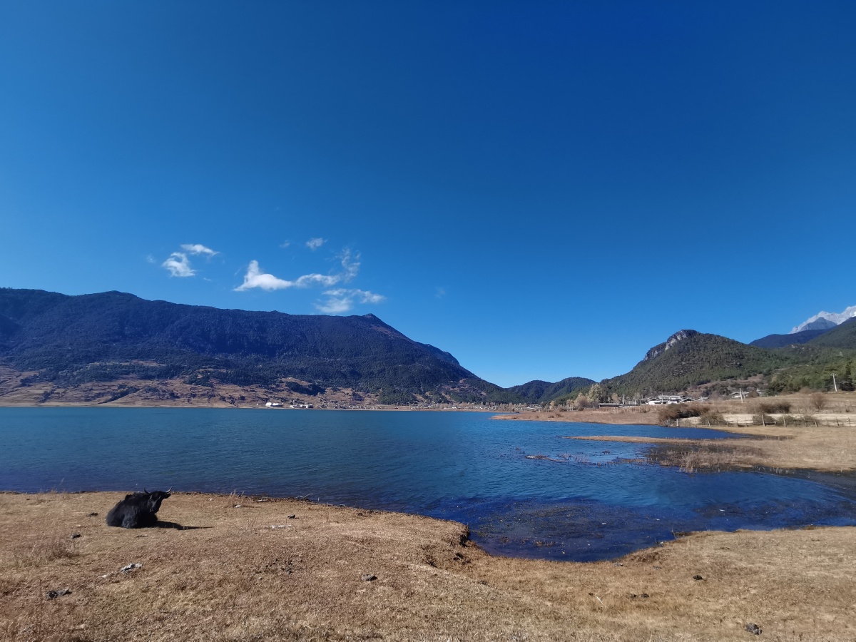 丽江文海美不可言