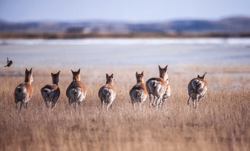 IMG_9612_