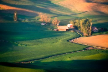 DSC03818-Edit-2
