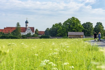_DSC4618
