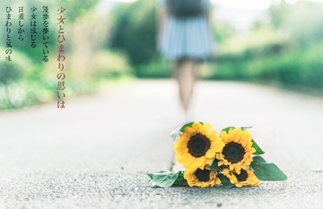 _IMG8853-编辑