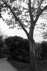 DSC_1501-2