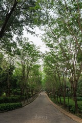 DSC_1511-2
