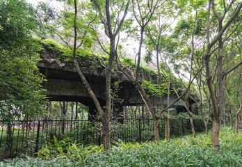 DSC_1720-2