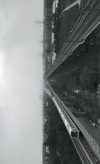 并驾齐驱