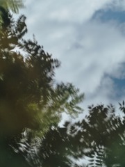 C89A023D-8197-44BE-A779-3B9F37542E23/L0/001